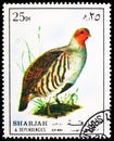 Postage stamp printed in Sharjah shows Grey Partridge (Perdix perdix), Birds serie, circa 1972