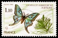 Postage stamp printed in shows Spanish Moon Moth (Graellsia isabellae), Nature protection serie, circa 1980