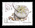 Postage stamp printed by South Africa Royalty Free Stock Photo