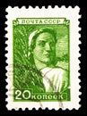 Postage stamp printed in Soviet Union (Russia) shows Farm female worker, Definitive Issue No.8 serie, circa 1957