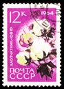 Postage stamp printed in Soviet Union shows Cotton, Agricultural Crops serie, circa 1964