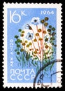 Postage stamp printed in Soviet Union shows Flax (Linum usitatissimum), Agricultural Crops serie, circa 1964