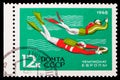 Postage stamp printed in Soviet Union shows Underwater Sports European Championship, International Sports Events serie, circa 1968