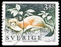 Postage stamp printed in Sweden shows Stoat Mustela erminea, Wild Animals serie, circa 1996