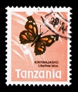 Postage stamp printed in Tanzania shows African Snout Butterfly (Libythea laius), Butterflies serie, circa 1973