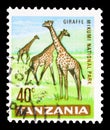 Postage stamp printed in Tanzania shows Giraffe (Giraffa camelopardalis) in Mikumi National Park, Country Motifs serie, circa 1965