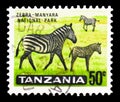 Postage stamp printed in Tanzania shows Zebra (Equus sp.) in Manyara National Park, Country Motifs serie, circa 1965