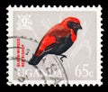 Postage stamp printed in Uganda shows Black-winged Red Bishop (Euplectes hordeaceus), Birds serie, 65 East African cent, circa