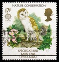 Postage stamp printed in United Kingdom shows Common Barn Owl (Tyto alba), Europa (C.E.P.T.) 1986 - Protection of the Environment Royalty Free Stock Photo