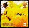 Postage stamp printed in United Kingdom shows Europa, Woman in Yellow Feathered Costume, Feasts and Festivals (Europa C.E.P.T.