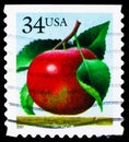 Postage stamp printed in United States shows Apple - Die Cut (top imperforate), Fruits serie, circa 2001 Royalty Free Stock Photo