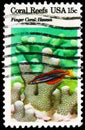 Postage stamp printed in United States shows Finger Coral (Porites compressa), Sabertooth Blenny (Plagiotremus azaleus), Coral