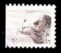 Postage stamp printed in United States shows Harbour Seal Phoca vitulina, North American Wildlife serie, circa 1981