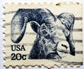 A postage stamp printed in USA shows a Rocky mountain bighorn sheep (Ovis canadensis Ovis orientalis) 1982 Royalty Free Stock Photo