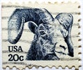 A postage stamp printed in USA shows a Rocky mountain bighorn sheep (Ovis canadensis Ovis orientalis) 1982 Royalty Free Stock Photo