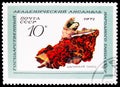 Postage stamp printed in USSR (Russia) shows Gipsy Dance, State Folk Dance Ensemble serie, circa 1971 Royalty Free Stock Photo