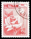 Postage stamp printed in Vietnam shows Cabbage rose Rosa centifolia, Fauna and flora serie, circa 1984