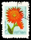 Postage stamp printed in Vietnam shows Orange cactus dahlias, Cultivated flowers serie, circa 1977