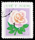 Postage stamp printed in Vietnam shows Single pink rose, Roses serie, circa 1980