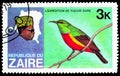 Postage stamp printed in Zaire Congo shows Regal Sunbird Nectarinia regia, Discovery of the River Zaire serie, circa 1979