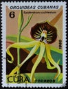 Postage stamp Republic of Cuba