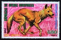 Postage stamp Republic of Equatorial Guinea 1974, Dingo, Canis lupus dingo