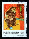 Postage stamp Romania, 1994. Balancing Brown Bear Ursus arctos