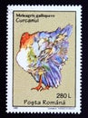 Postage stamp Romania 1995. Domesticated Turkey Meleagris gallopavo Royalty Free Stock Photo