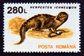 Postage stamp Romania, 1993. Egyptian Mongoose Herpestes ichneumon animal Royalty Free Stock Photo
