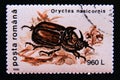 Postage stamp Romania,, 1996. European Rhinoceros Beetle Oryctes nasicornis insect Royalty Free Stock Photo