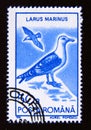 Postage stamp Romania, 1991. Great Black backed Gull Larus marinus bird