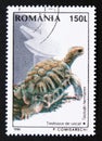 Postage stamp Romania 1996, Hermann`s Tortoise, Testudo hermanni