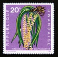 Postage stamp Rwanda, 1968. Diaphananthe fragrantissima flower plant