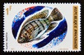 Postage stamp Rwanda, 1973. Nile Tilapia Tilapia nilotica fish