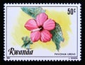 Postage stamp Rwanda, 1981. Pavonia urens flower
