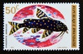 Postage stamp Rwanda, 1973. Polkadot Squeaker Synodontis angelicus fish