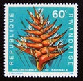 Postage stamp Rwanda, 1968. Ravenala madagascariensis flower plant