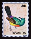 Postage stamp Rwanda, 1980. Regal Sunbird Cinnyris regius bird