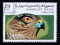 Postage stamp Sahara Occ, 1996. Eurasian sparrowhawk Accipiter nisus bird Royalty Free Stock Photo