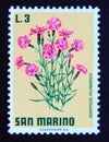 Postage stamp San Marino, 1971. Cottage Pink Dianthus plumarius flower