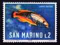 Postage stamp San Marino, 1966. Cuckoo Wrasse Labrus bimaculatus fish