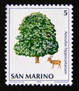 Postage stamp San Marino, 1979. Red Deer Cervus elaphus, Horse Chestnut Aesculus hippocast tree