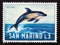 Postage stamp San Marino, 1966. Short Beaked Common Dolphin Delphinus delphis fish