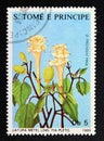 Postage stamp Sao Tome and Principe, 1988. Datura metel medical Flower plant