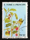 Postage stamp Sao Tome and Principe, 1988. Solanum ovigerum medical Flower plant