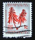 Postage stamp South Africa, 1963. Kafferboom Flower; Coral Tree Erythrina lysistemon Royalty Free Stock Photo