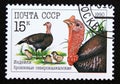 Postage stamp Soviet Union, CCCP, 1990. Bronze North Caucasian Turkey Meleagris gallopavo Royalty Free Stock Photo