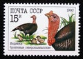 Postage stamp Soviet Union, CCCP, 1990, Bronze North Caucasian Turkey Meleagris gallopavo Royalty Free Stock Photo