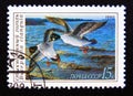 Postage stamp Soviet Union, CCCP, 1990. Common Goldeneye Bucephala clangula flying duck bird Royalty Free Stock Photo