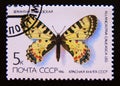 Postage stamp Soviet Union, CCCP,, 1986. Eastern Festoon Allancastria caucasica butterfly